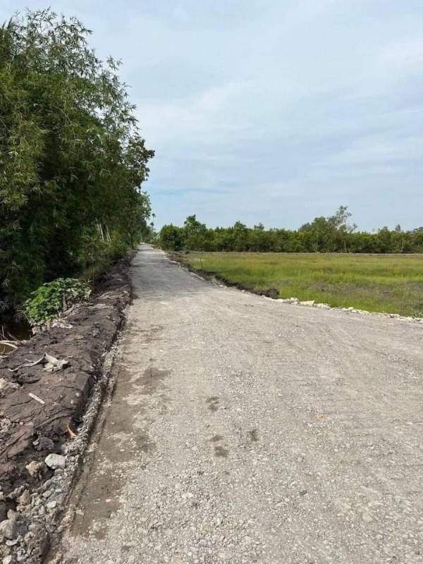 1500m2 vườn đg ô tô tải quay đầu, đag trồng chanh thu hoạch kdc đông