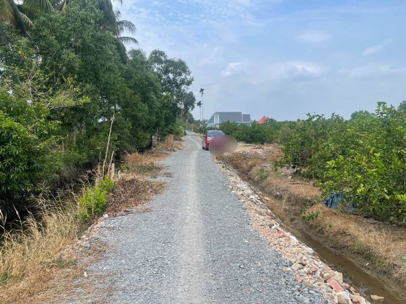 1500m2 vườn đg ô tô tải quay đầu, đag trồng chanh thu hoạch kdc đông