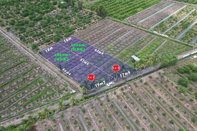 Đất vườn đg ô tô cách 816 chỉ 1,5km đang trồng cây ăn trái