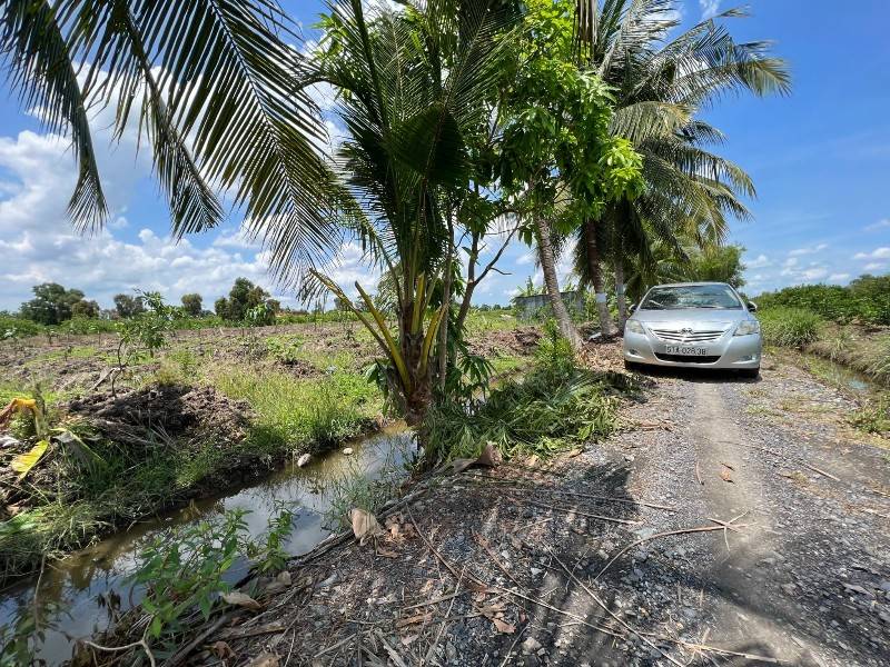 Đất vườn đg ô tô cách 816 chỉ 1,5km đang trồng cây ăn trái