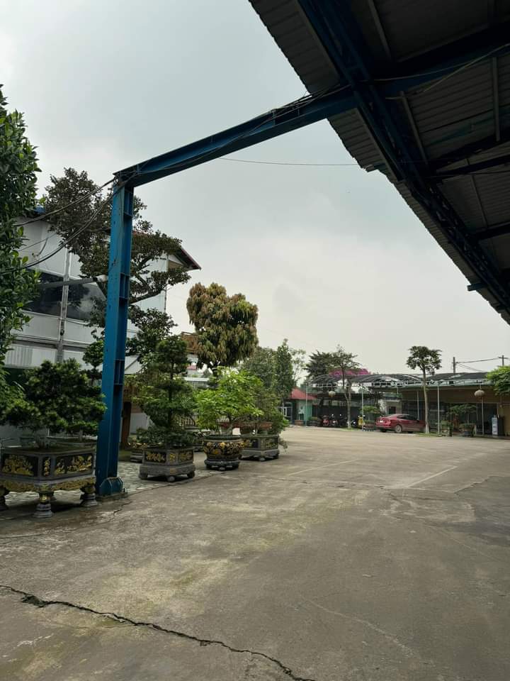 KHO, XƯỞNG CHO THUÊ Tại TÂN MINH. SÓC SƠN. H. N