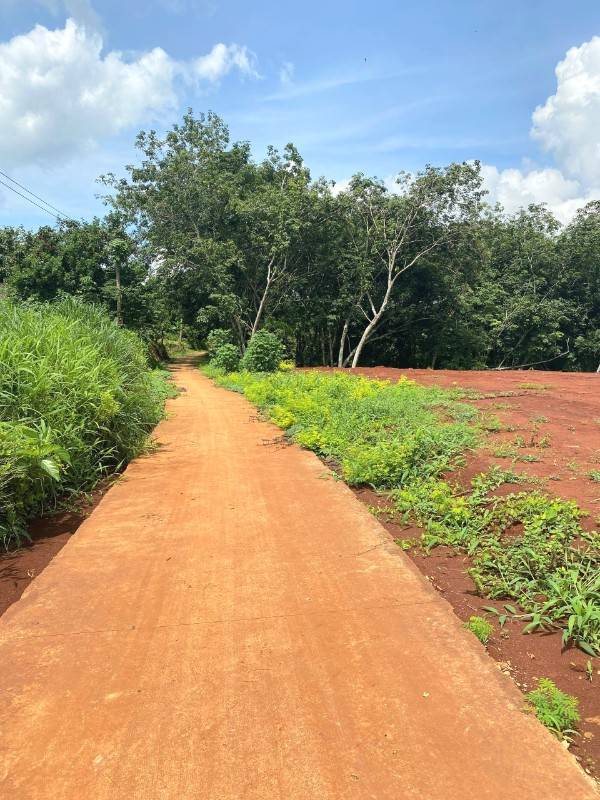Bán lô đất 1156m2 full hồng, mặt đường bê tông 43m, cách ql 13 từ 400m
