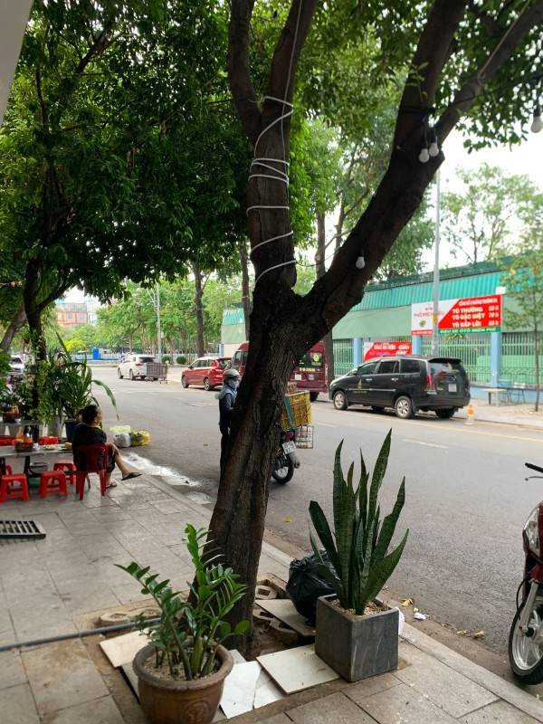 Cho thuê Mặt tiền đường Hoa Phượng, phường 2, Quận Phú Nhuận