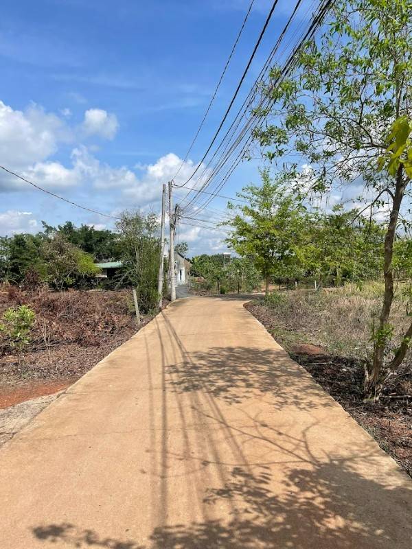 Gia đình đang cần tiền gấp bán hơn 1 ha đất rẫy có 300 đất thổ cư