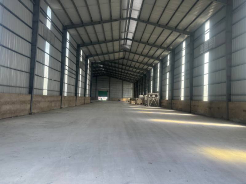 Cho thuê đường 852 lấp vò Đồng Tháp dt 3300m giá 130 tr