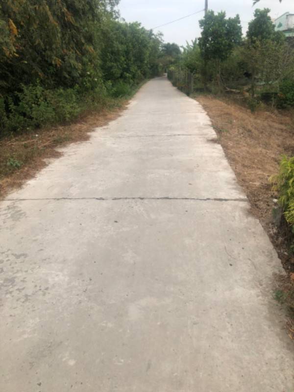 Bán đất vườn đang trồng cam xoàn