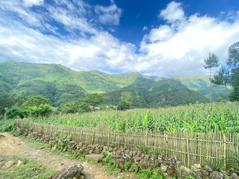 Bán nhanh lô đất hơn 5000m2 view thung lũng, ruộng bậc thang siêu đẹp