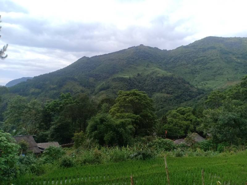 Bán nhanh lô đất hơn 5000m2 view thung lũng, ruộng bậc thang siêu đẹp