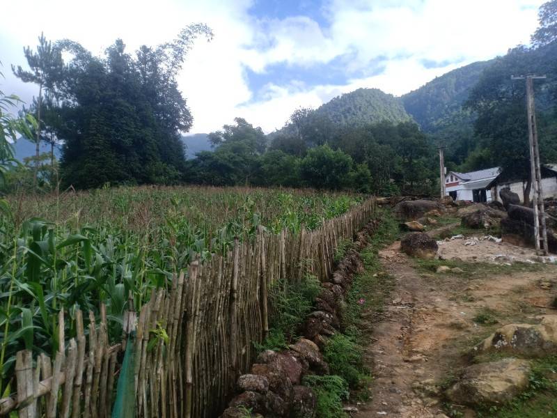 Bán nhanh lô đất hơn 5000m2 view thung lũng, ruộng bậc thang siêu đẹp