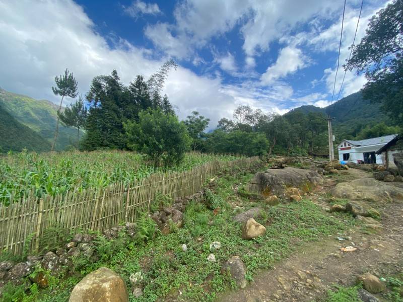Bán nhanh lô đất hơn 5000m2 view thung lũng, ruộng bậc thang siêu đẹp