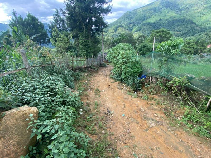 Bán nhanh lô đất hơn 5000m2 view thung lũng, ruộng bậc thang siêu đẹp