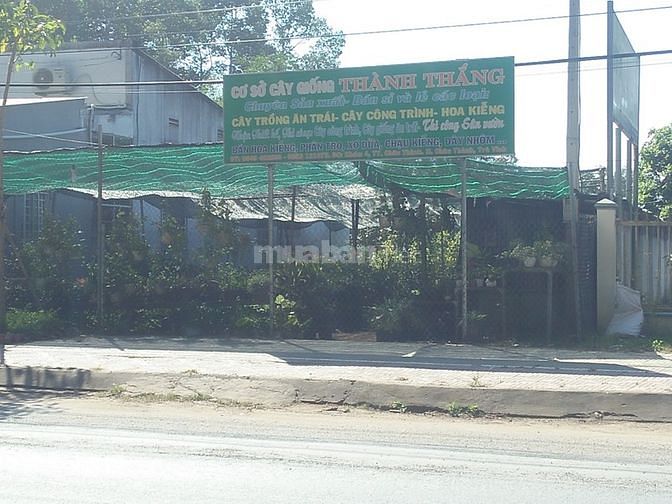 Cho thuê đất mặt tiền Nguyễn Chí Thanh nối dài-500m2-Gần BếnXe TràVinh