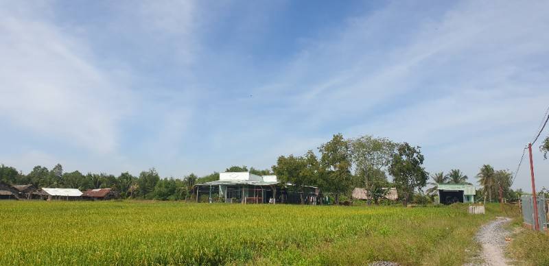 1,25 tỷ/1180m (1tr050/m) Vĩnh Thanh đường xe hơi, ngay dân cư, shr
