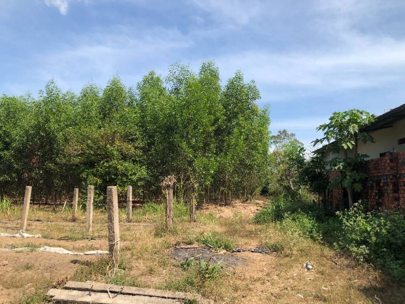 ĐẤT XUÂN HÒA, CÁCH NHỰA SÓC BA BUÔNG 100M, TRỒNG TRÀM, THANH LONG, RẺ