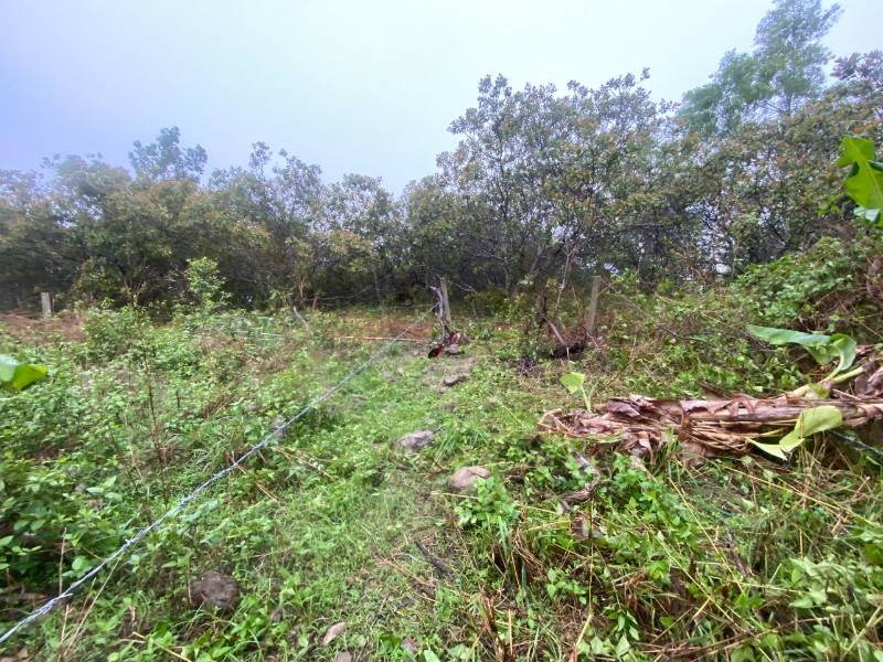 Bán Lô Đất Sào -1400m2 Đã Có sổ Riêng.