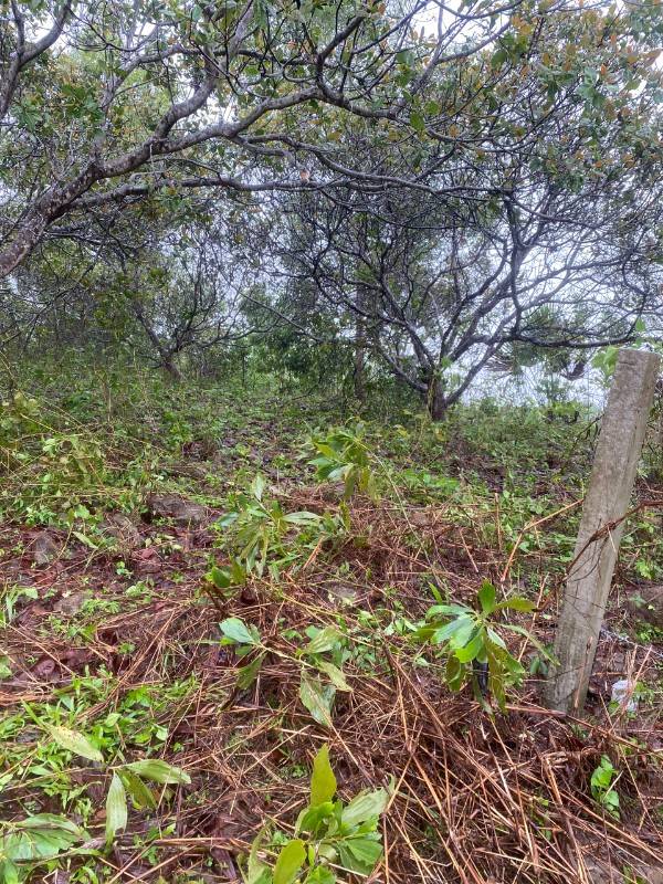 Bán Lô Đất Sào -1400m2 Đã Có sổ Riêng.