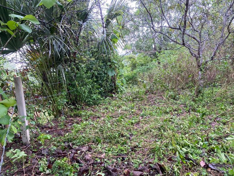 Bán Lô Đất Sào -1400m2 Đã Có sổ Riêng.
