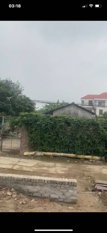 Cho thuê mặt bằng kinh doanh thôn Phan, Bạch Sam, Mỹ Hào, Hưng Yên