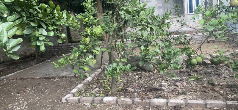Cho thuê mặt bằng kinh doanh thôn Phan, Bạch Sam, Mỹ Hào, Hưng Yên