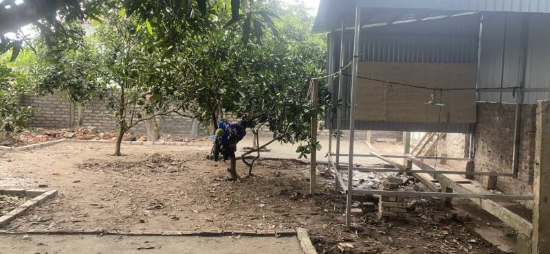 Cho thuê mặt bằng kinh doanh thôn Phan, Bạch Sam, Mỹ Hào, Hưng Yên