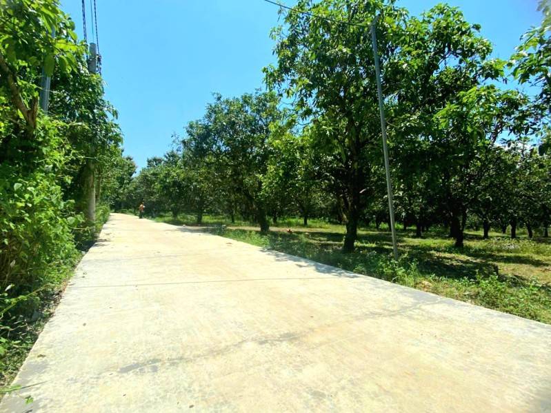 Bán đất 1100m2, có sẵn 100m2 thổ cư, mặt giáp đường 28.5m