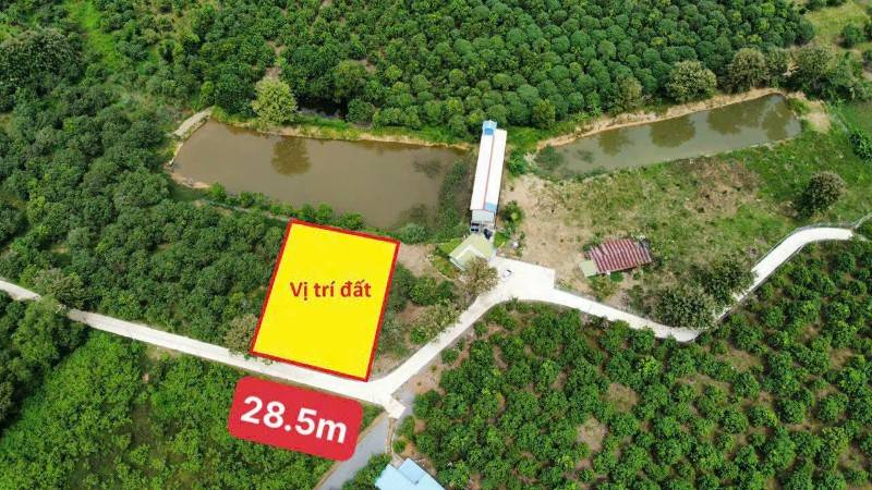Bán đất 1100m2, có sẵn 100m2 thổ cư, mặt giáp đường 28.5m