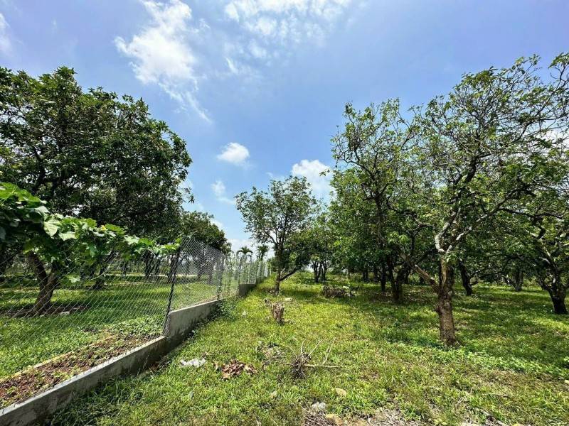 Bán đất 1100m2, có sẵn 100m2 thổ cư, mặt giáp đường 28.5m