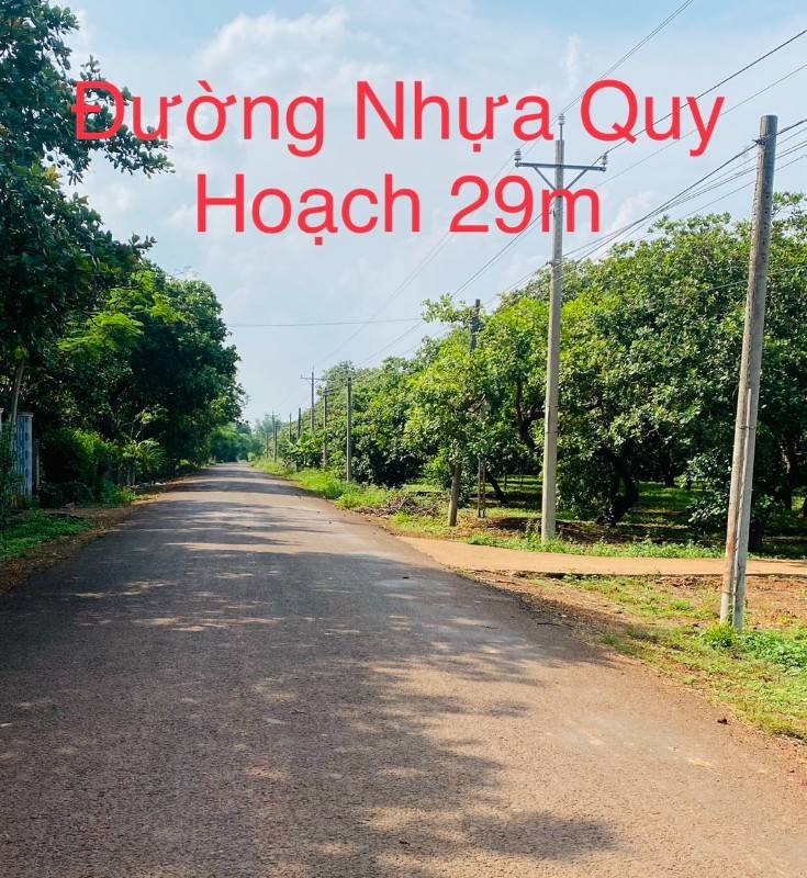 Đất sào phủ hồng, mặt tiền đương nhựa, cách QL 14 1km giá 240tr
