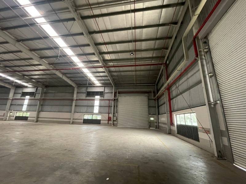 Cho thuê kho xưởng KCN Thuận Đạo, Long An  kv: 6.000m2, xd: 3.600m2