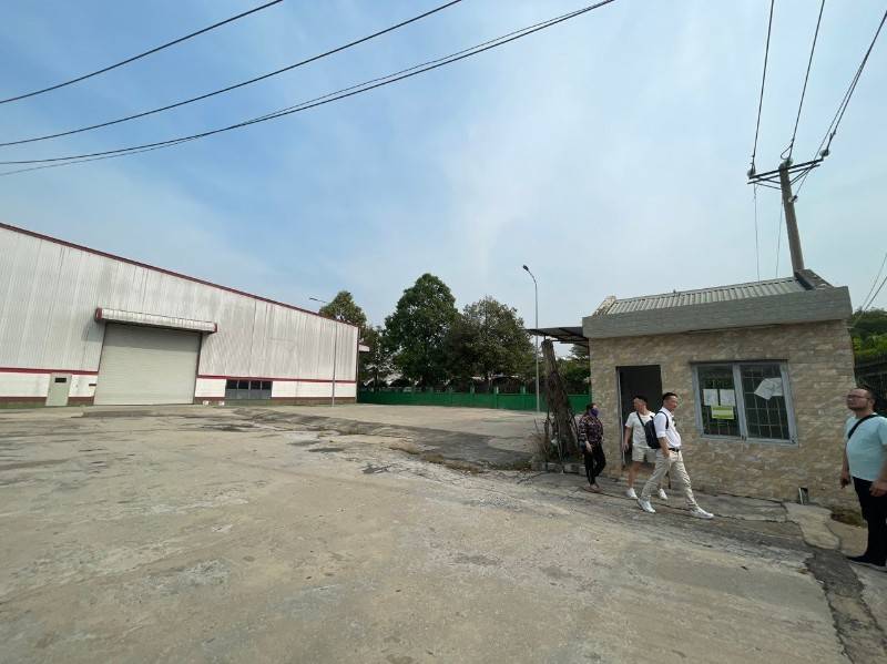Cho thuê kho xưởng KCN Thuận Đạo, Long An  kv: 6.000m2, xd: 3.600m2