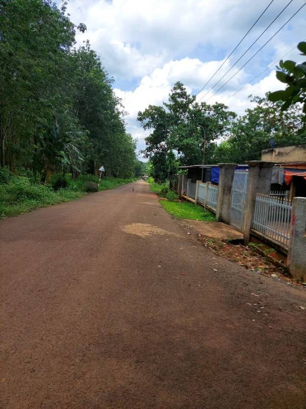Đất sào phủ hồng, mặt tiền đương nhựa, cách QL 14 1km giá 240tr