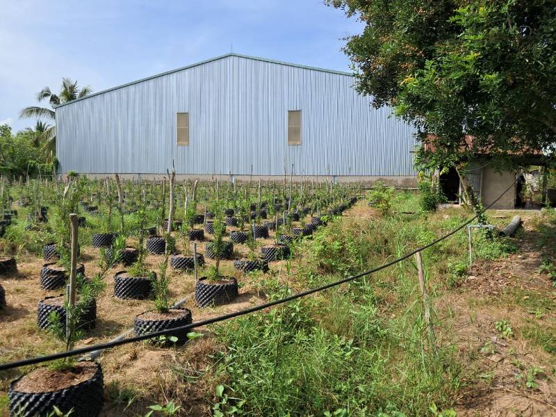 Sang nhượng 6.900 m2 đất MT QL1 - TX Cai Lậy