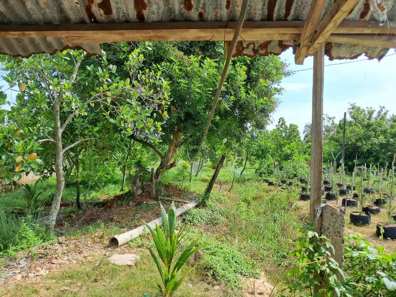 Sang nhượng 6.900 m2 đất MT QL1 - TX Cai Lậy