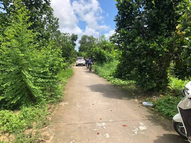 9 chu ban mieng dat mat tien tong 1200m2 cach ql1a 700m gia 420tr
