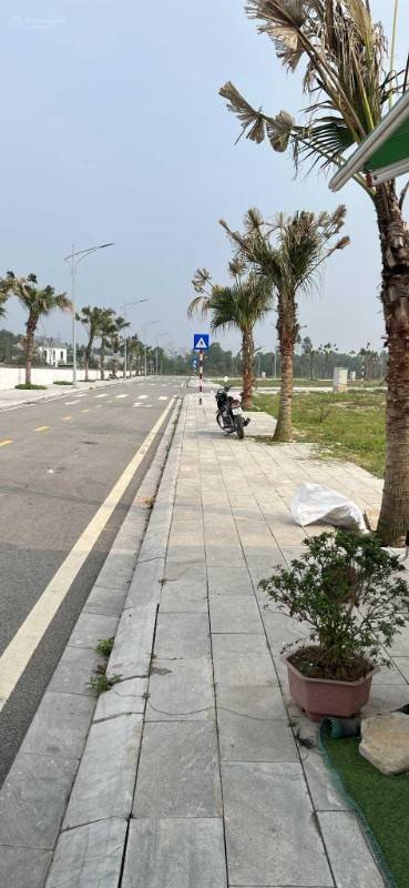 Đầu Tư Đất Việt Trì Spring City DT 90m2, Vân Phú,Giá Chỉ 2 Tỷ