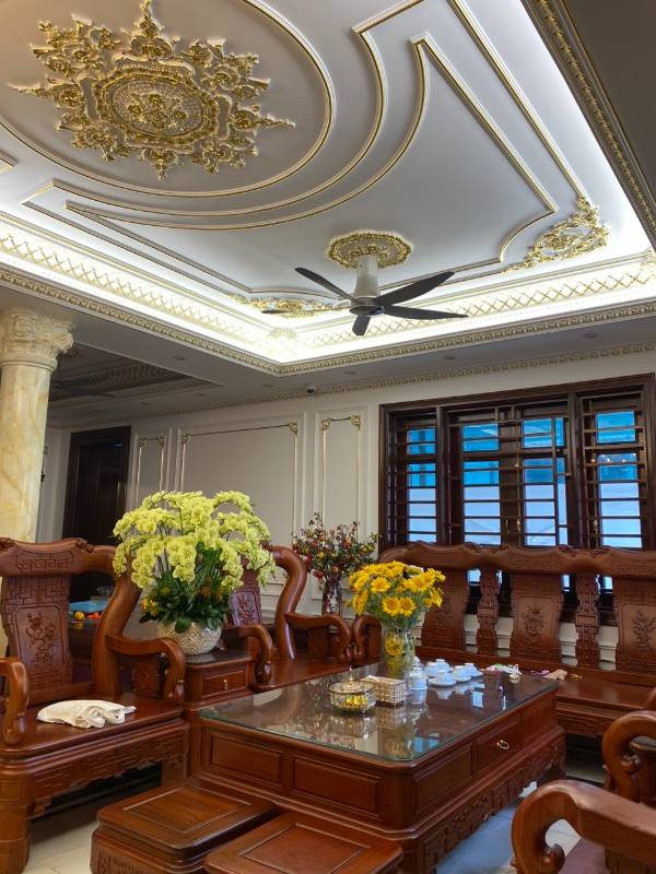 Bán biệt thự Dabaco Đại Phúc khu hồ điều hòa, dt 189m nhà 4T siêu sang