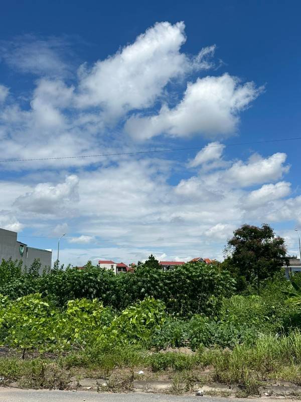Nhà em bán lại mảnh đất Full thổ cư 582m2 tại thôn Cổ Miếu-Phật Tích.