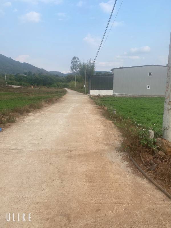 Bê tông 6m thị trấn liên nghĩa huyện Đức trọng