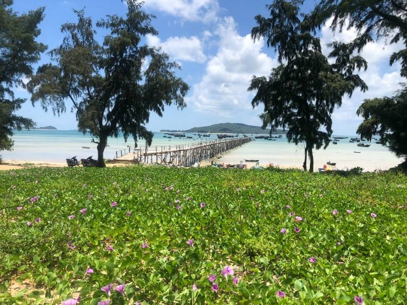 Chính chủ cần bán thửa đất tại Trung tâm thị trấn Cô Tô, huyện Cô tô