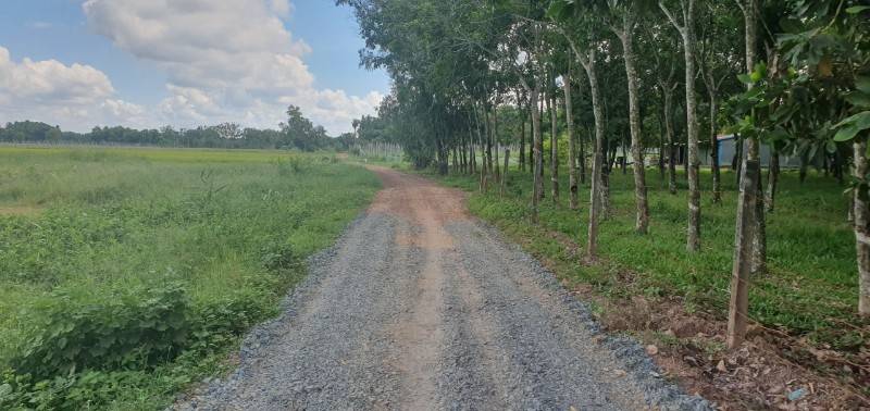 bán đất ngang 100m dài 100m quy hoạch đất ở giá 11 tỷ