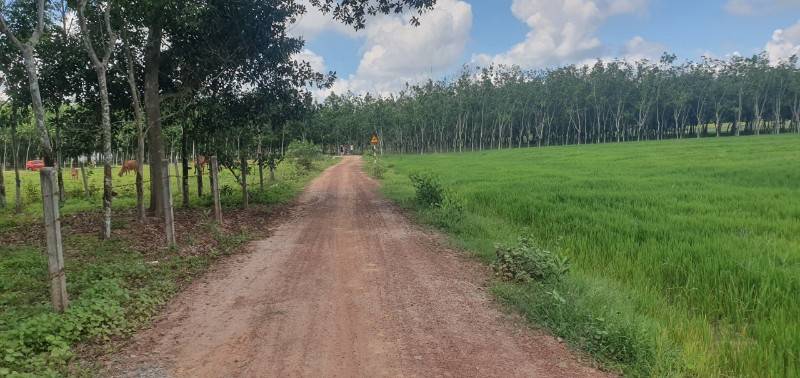 bán đất ngang 100m dài 100m quy hoạch đất ở giá 11 tỷ