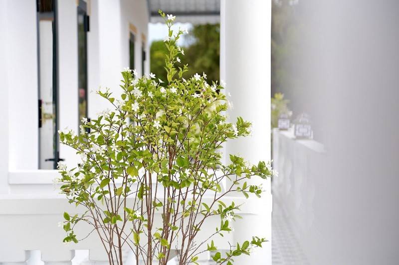 gộp cần bán gấp homstay nghĩ dưỡng ven biển hạ giá mạnh bán nhanh chỉ