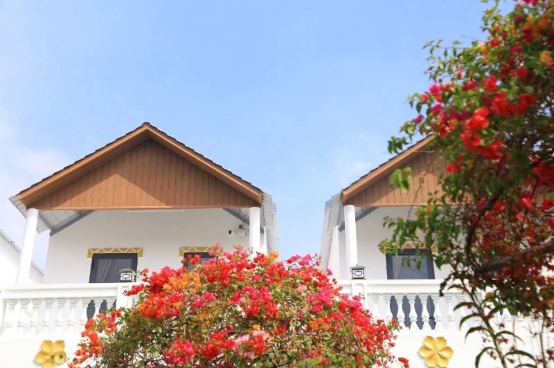 gộp cần bán gấp homstay nghĩ dưỡng ven biển hạ giá mạnh bán nhanh chỉ