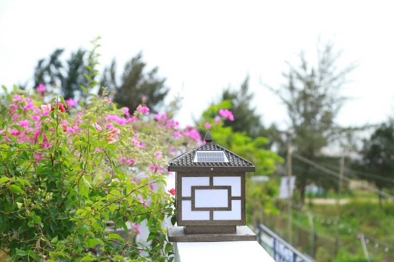 gộp cần bán gấp homstay nghĩ dưỡng ven biển hạ giá mạnh bán nhanh chỉ