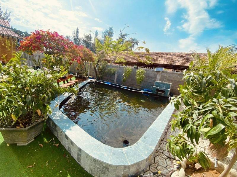 gộp cần bán gấp homstay nghĩ dưỡng ven biển hạ giá mạnh bán nhanh chỉ