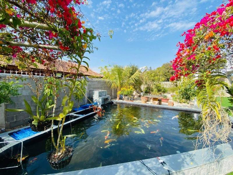gộp cần bán gấp homstay nghĩ dưỡng ven biển hạ giá mạnh bán nhanh chỉ