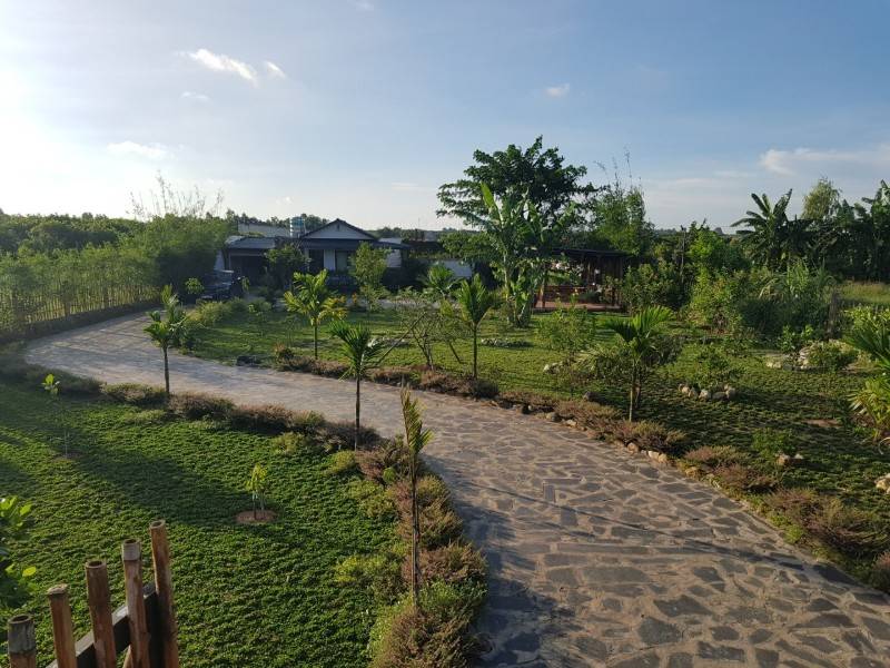 Bán nhà vườn nghỉ dưỡng 1345m2 view sông đủ loại cây trái giá hời