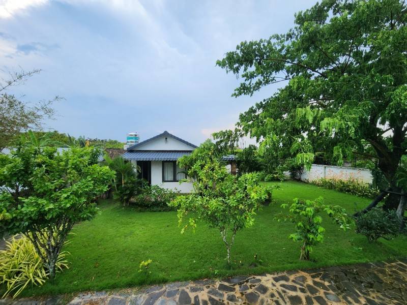 Bán nhà vườn nghỉ dưỡng 1345m2 view sông đủ loại cây trái giá hời