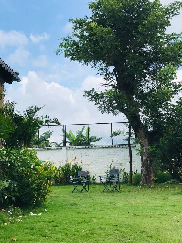 Bán nhà vườn nghỉ dưỡng 1345m2 view sông đủ loại cây trái giá hời