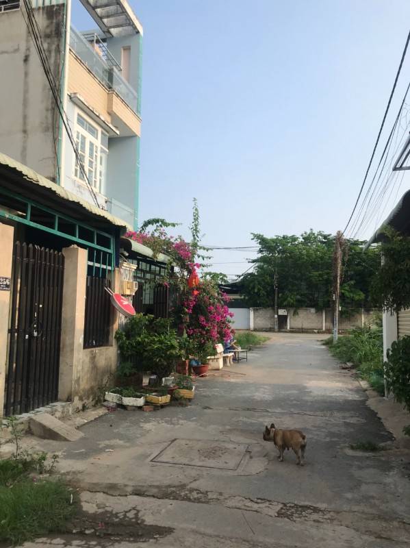 Đ ẤT ĐẸP TP THỦ ĐỨC (QUẬN 9 CŨ ), HẺM 7M, GẦN VINCITY, SHR,